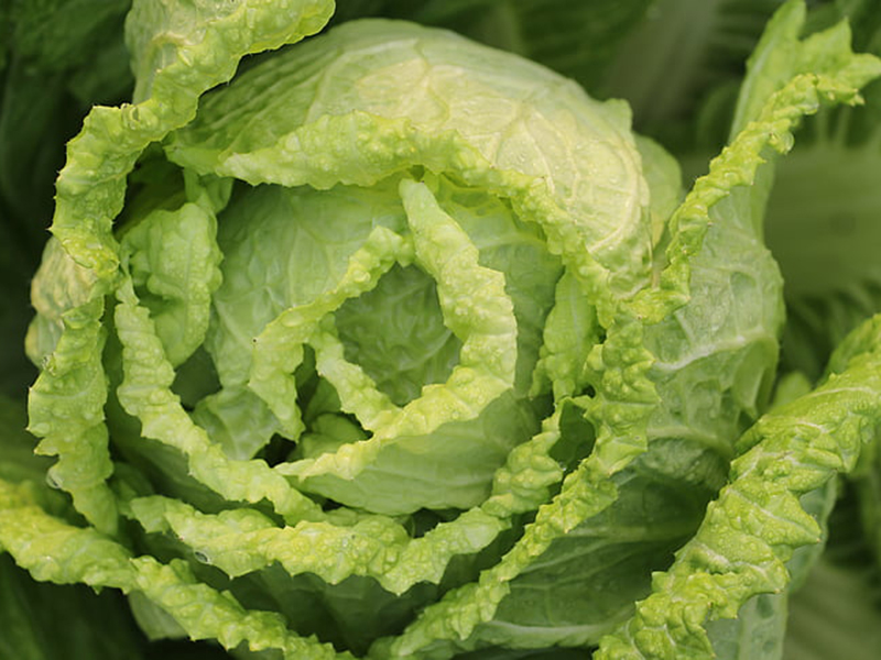 怎樣可以檢測(cè)小白菜中農(nóng)藥殘留是否超標(biāo)？