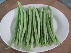 農(nóng)藥殘留檢測(cè)儀，檢測(cè)四季豆農(nóng)藥殘留含量