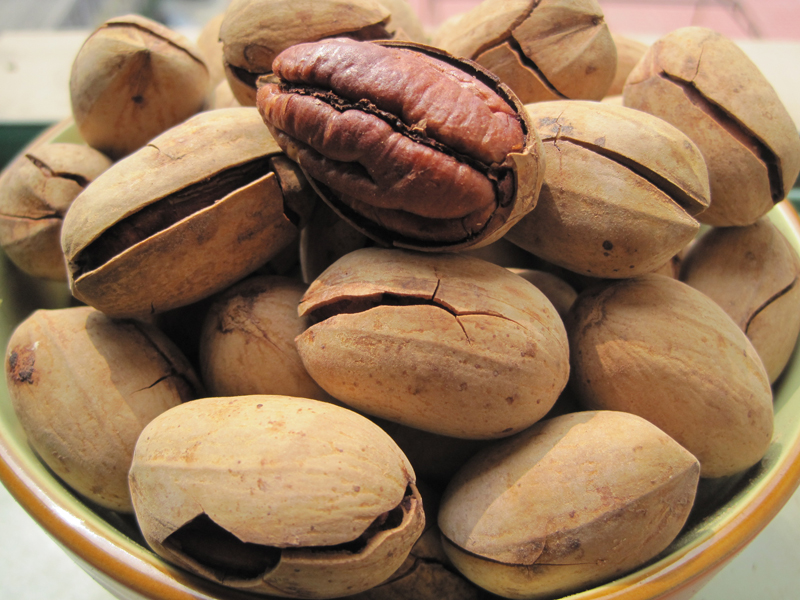 碧根果苗種植，怎樣的土壤*合適